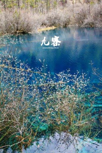 鲫鱼汤怎么做呀